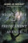 Night Falls on Predicament Avenue: (A Dual-Time Murder Mystery and Suspense Fiction Book with Clean Romance) by Jamie Jo Wright